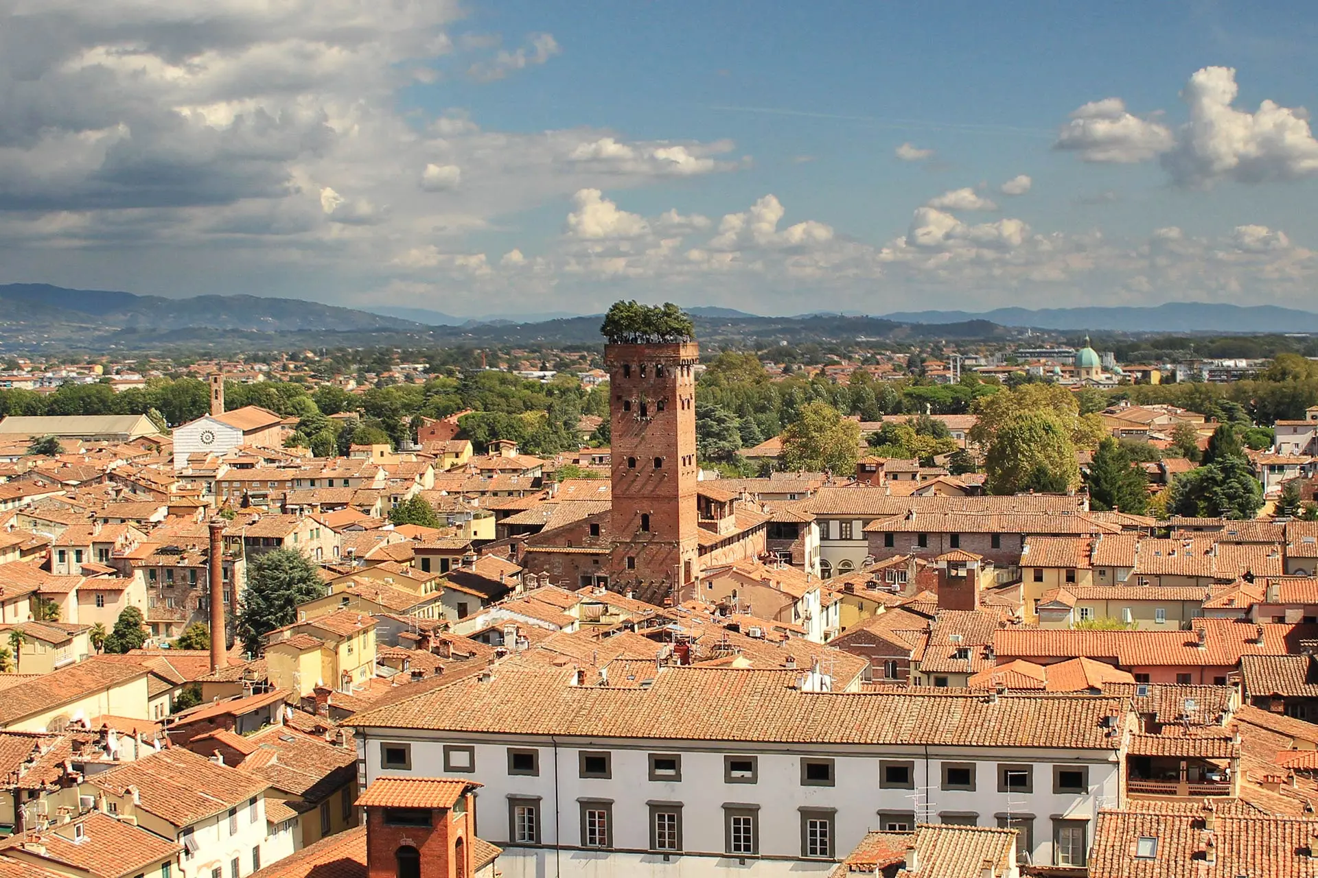 Guinigi Tower Guinigi Tower