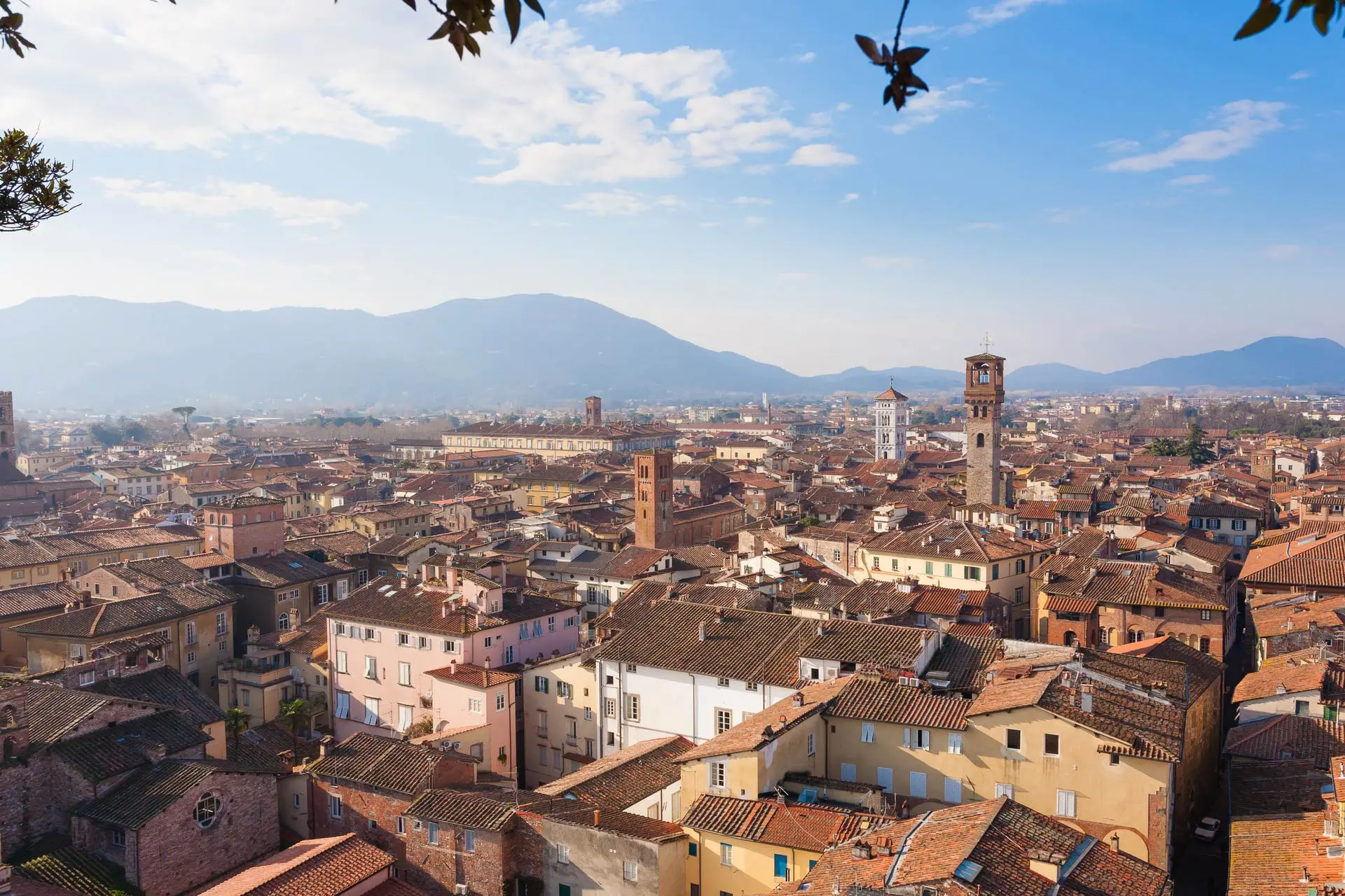 Lucca from Guinigi Tower Lucca from Guinigi Tower