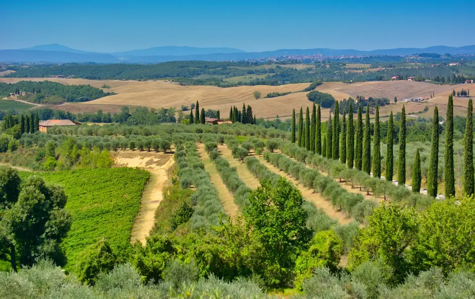 Tuscan Tours: Tourist Guide Oltre Pistoia